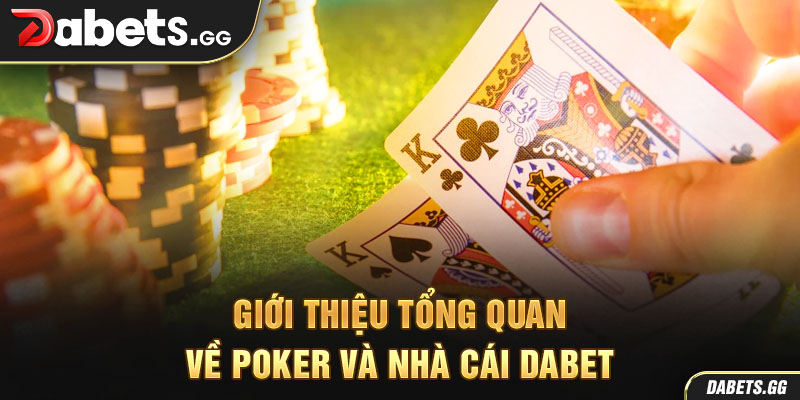 Giới thiệu tổng quan về poker và nhà cái Dabet